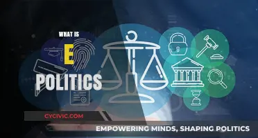 Understanding E-Politics: Digital Transformation in Governance and Public Engagement
