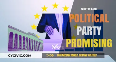 Election 2023: Unpacking Political Party Promises and Key Commitments