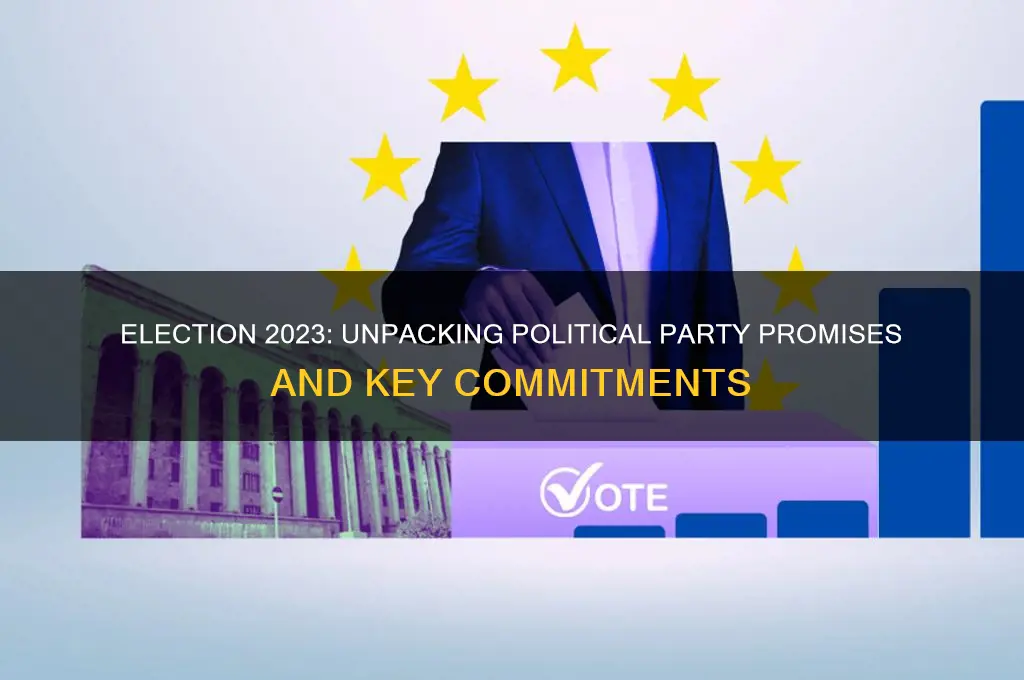 what is each political party promising