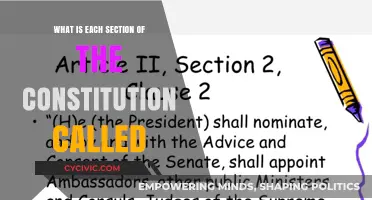 Understanding the Constitution: Section Names and Their Significance