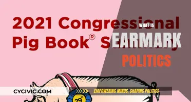 Understanding Earmark Politics: Strategies, Impact, and Controversies Explained