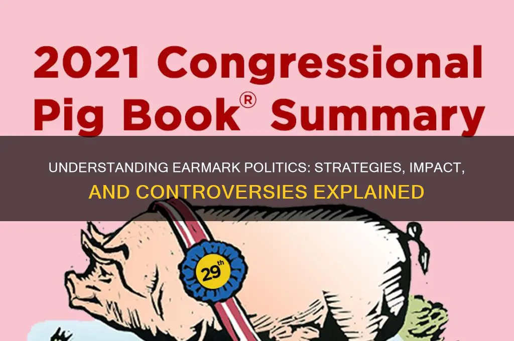 what is earmark politics