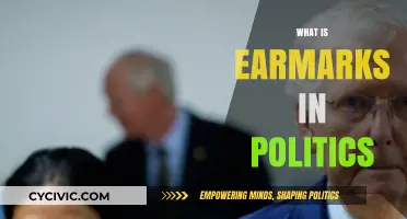 Understanding Earmarks: Political Funding, Influence, and Public Impact Explained
