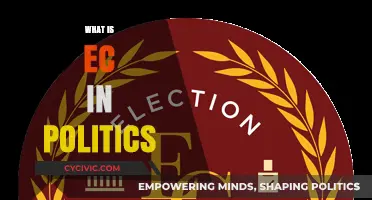 Understanding EC: The Role of Election Commissions in Politics