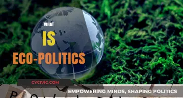 Understanding Eco-Politics: The Intersection of Environment and Political Power