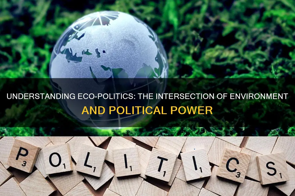 what is eco-politics