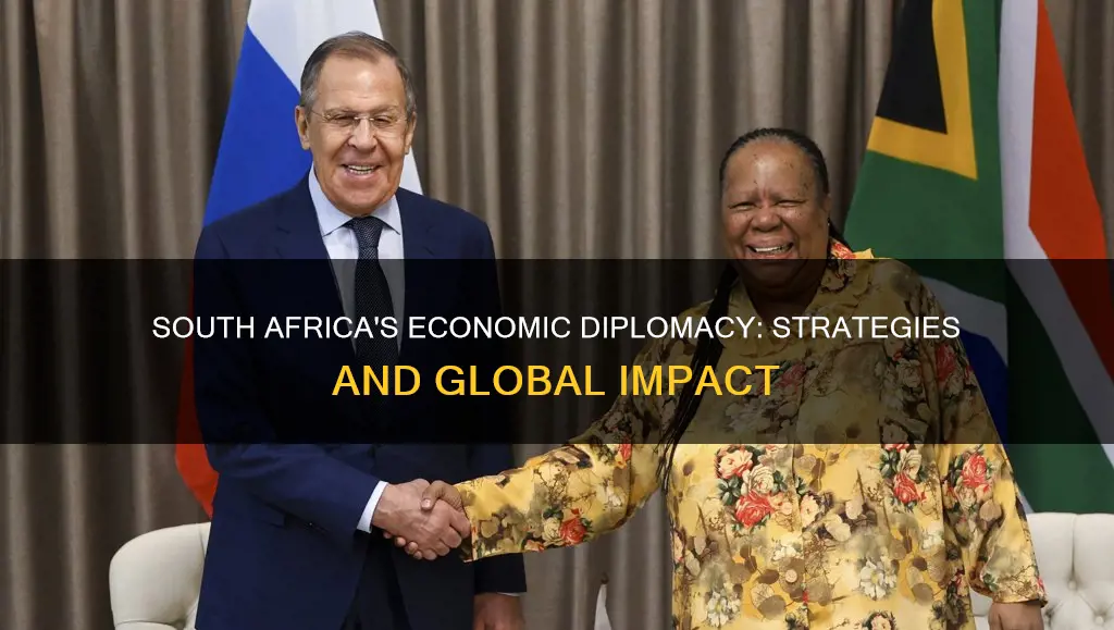 what is economic diplomacy in south africa