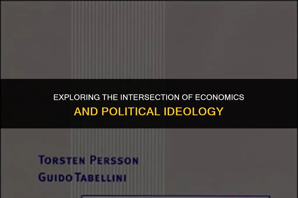 what is economice in political views