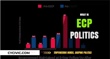Understanding ECP Politics: Role, Impact, and Influence Explained