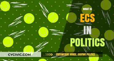 Understanding ECS: Its Role and Impact in Political Systems Explained