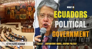 Exploring Ecuador's Political System: Structure, Governance, and Key Institutions