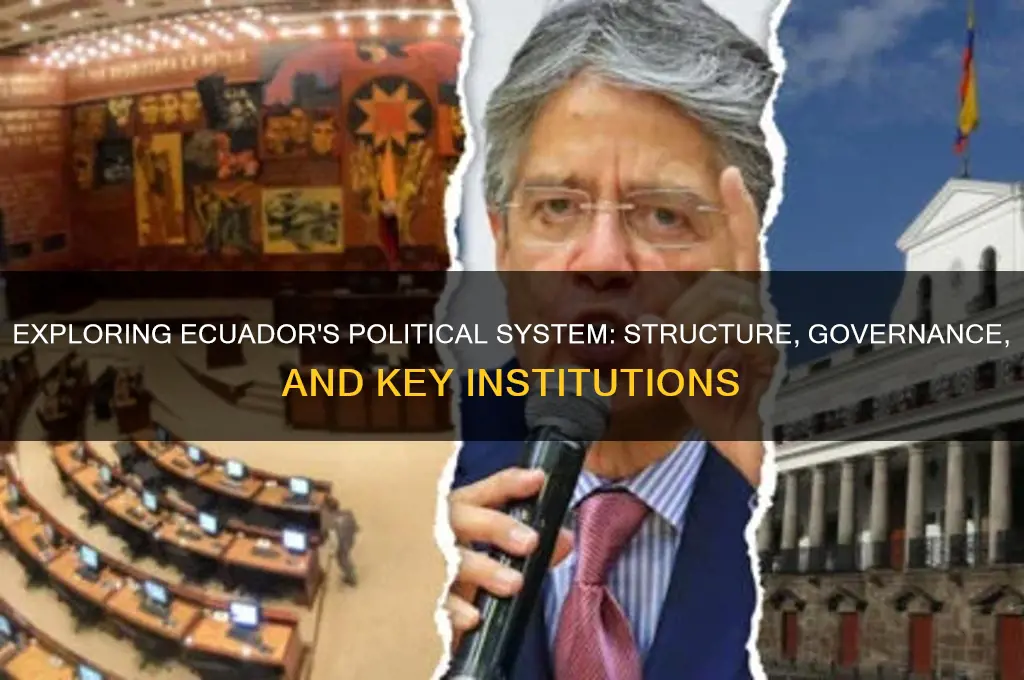 what is ecuadors political government