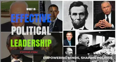 Understanding Effective Political Leadership: Key Traits and Strategies for Success