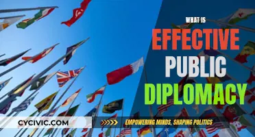 Effective Public Diplomacy: Strategies for Success
