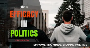 Understanding Political Efficacy: Power, Influence, and Citizen Engagement Explained