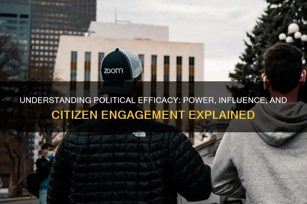 what is efficacy in politics