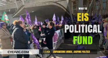Understanding EIS Political Fund: Purpose, Function, and Impact Explained