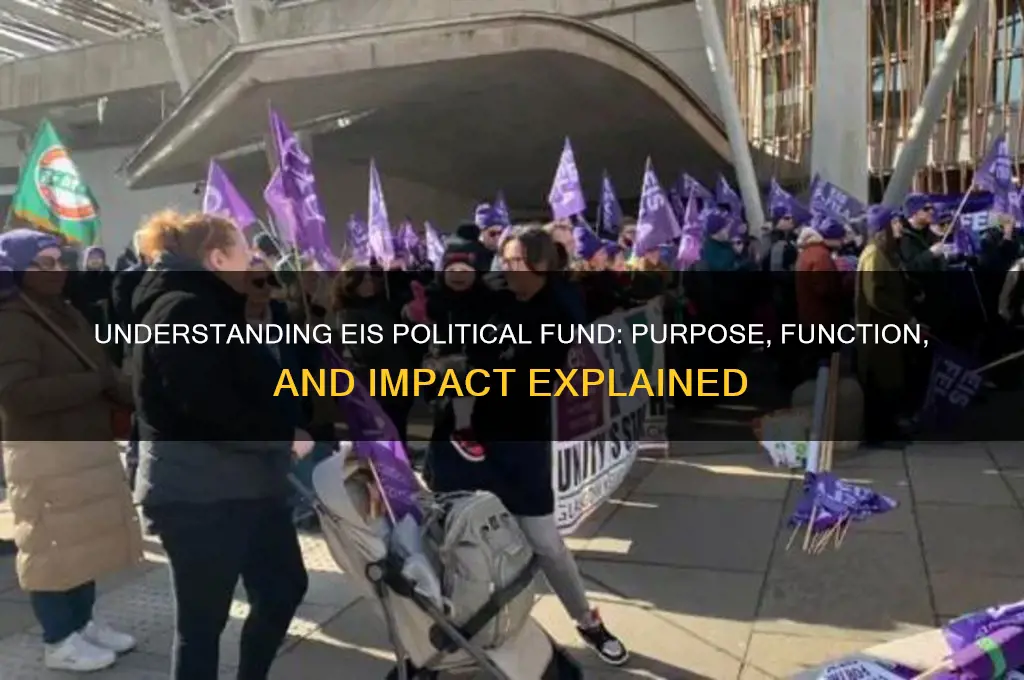 what is eis political fund