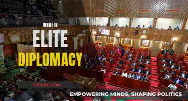 Elite Diplomacy: Understanding the Art of Influencing Decisions