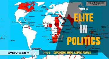 Understanding Elite Power Dynamics in Modern Political Systems