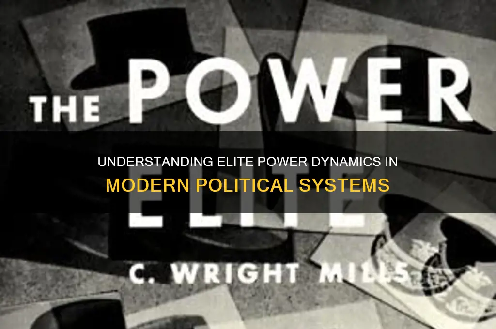 what is elite in politics