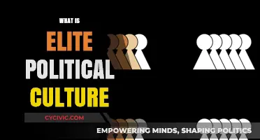 Understanding Elite Political Culture: Power, Influence, and Decision-Making Dynamics
