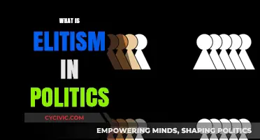 Understanding Elitism in Politics: Power, Privilege, and Exclusion Explained