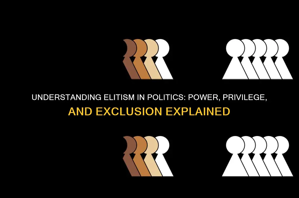 what is elitism in politics