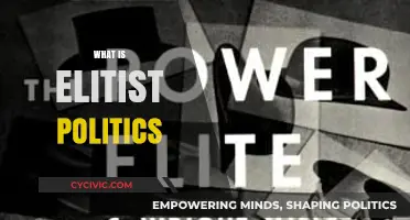 Understanding Elitist Politics: Power, Privilege, and Exclusion in Governance