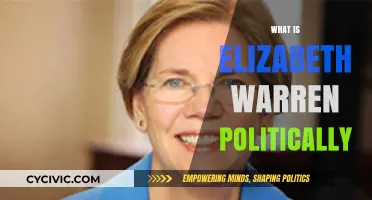 Elizabeth Warren's Political Stance: Progressive Policies and Populist Vision Explained