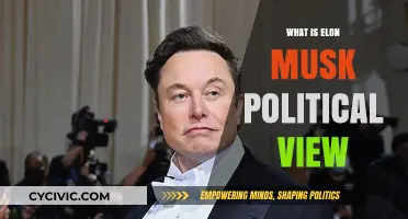 Exploring Elon Musk's Political Spectrum: A Comprehensive Analysis