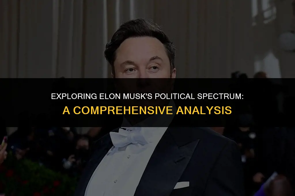 what is elon musk political view