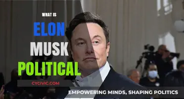 Elon Musk's Political Views: Libertarian, Independent, or Enigma?