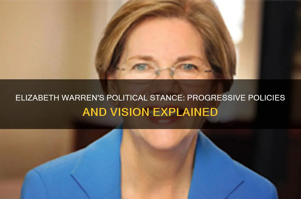 what is elziabeth warrens politics