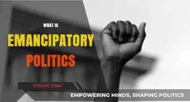 Understanding Emancipatory Politics: Liberation, Equality, and Social Transformation Explained