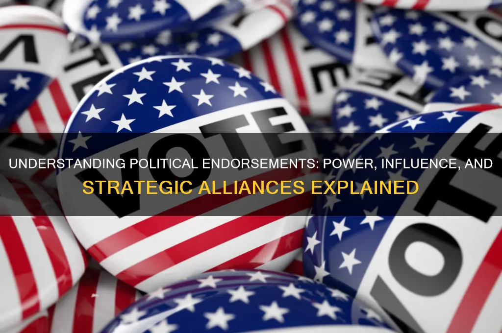 what is endorsement in politics