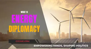 Energy Diplomacy: Global Strategies for a Sustainable Future