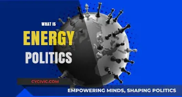 Understanding Energy Politics: Power, Resources, and Global Policy Dynamics