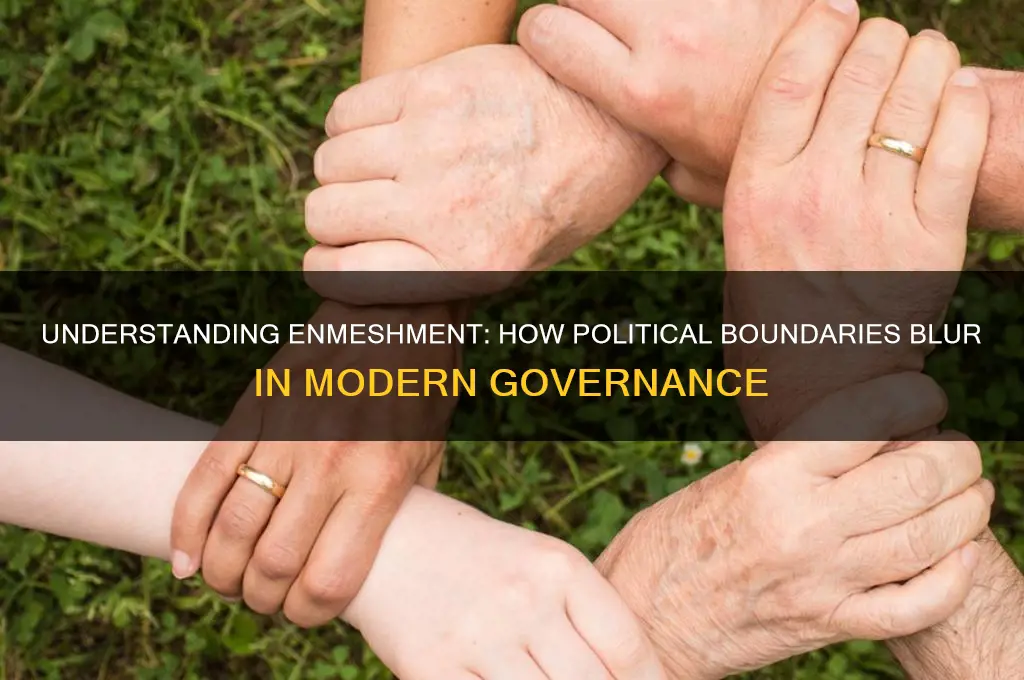 what is enmeshment in politics