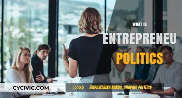Entrepreneurial Politics: Redefining Leadership, Innovation, and Governance Strategies