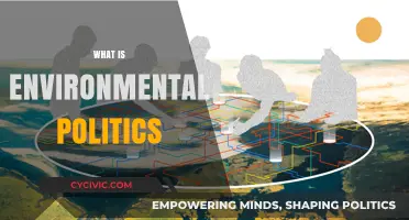 Understanding Environmental Politics: Policies, Power, and Planetary Sustainability Explained