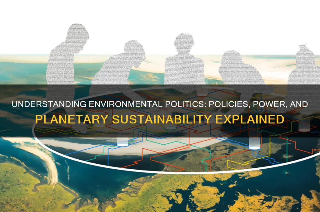 what is environmental politics