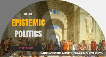 Understanding Epistemic Politics: Power, Knowledge, and Social Constructs Explained