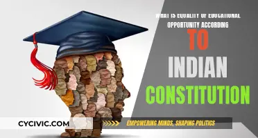 Educational Equality: India's Constitutional Promise