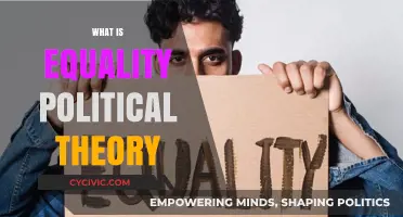 Understanding Equality in Political Theory: Principles, Challenges, and Implications