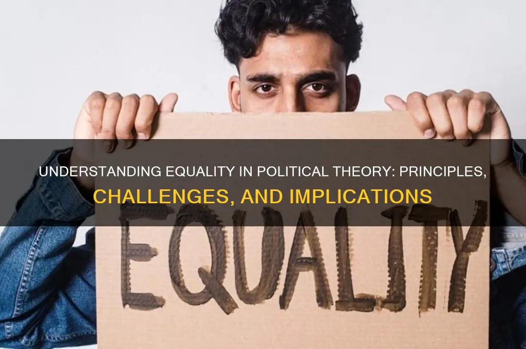 what is equality political theory