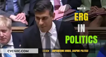 Understanding ERG: Its Role and Impact in Political Landscapes