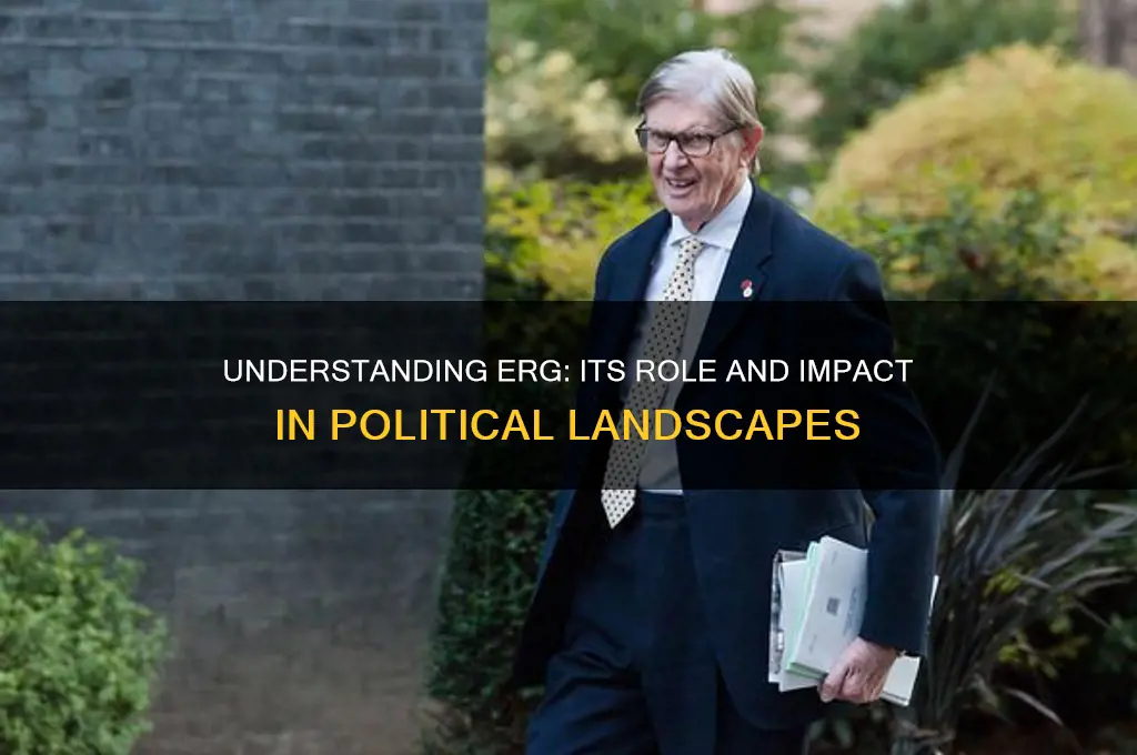 what is erg in politics