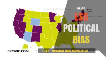 ESG Political Bias: Uncovering Ideological Influences in Sustainable Investing