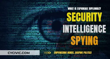 Espionage and Security: Intelligence, Spying, and Diplomacy Explored